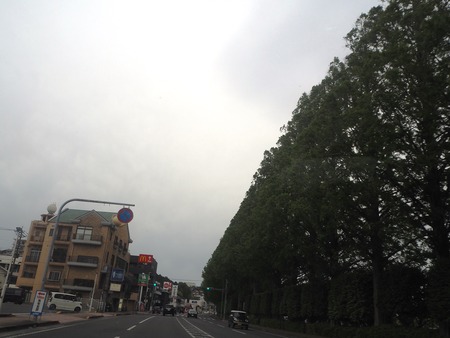 2021.05.04�������P5040809