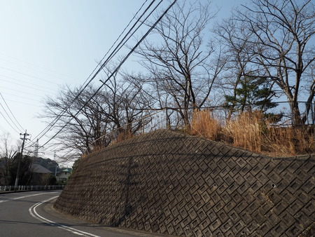2023.03.10 諫早市営球場P1012217P1012223