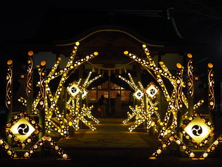 ¾®ÉͲ¹ÀôÅô¤ë¥×¥í¥¸¥§¥¯¥ÈP2211411