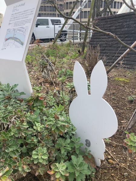 2024.03.24 ����ɽ�綶����I-9IMG_5954