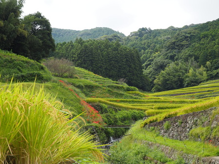 ȺĮêĤޤĤꡡêP9241226