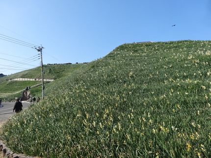 12-�����DSC00532