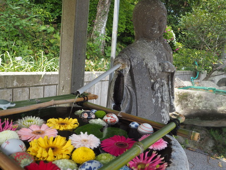 2021.04.10 諫早公園、高城神社、上山つつじ園P4105846