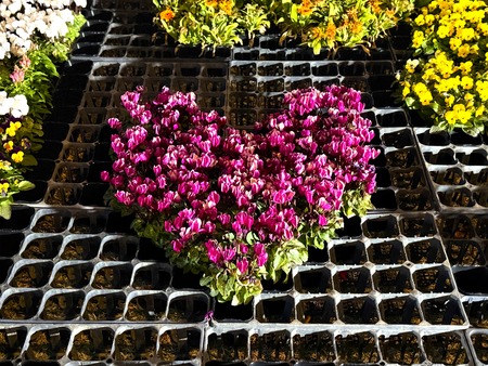 ����¼�ظ���IMG_8004