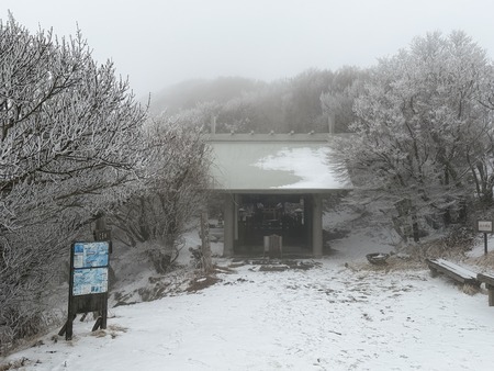 雲仙仁田峠の霧氷 妙見神社IMG_3980
