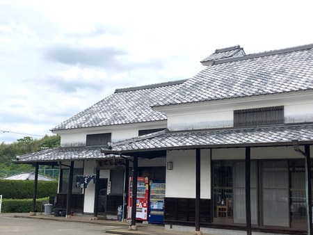 2024.06.14 諫早市長田町 青ごしょうIMG_5646