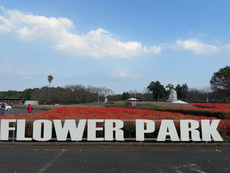 ͭ���ο��ե��ѡ���IMG_1963