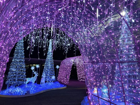 ��������¼ŹIIMG_7974