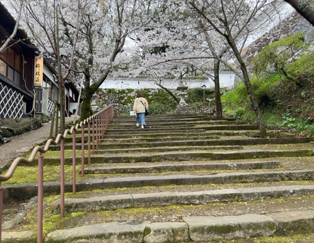 ��¼�ԡ��ߥ�����IMG_6943