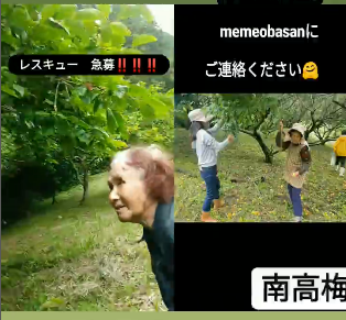 Screenshot 2023-06-14 at 22-41-00 ÃæÅ罤(@meme.obasan) Instagram