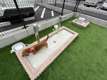 �������Хå��������ɺ�ŹI���ɥå����IMG_4469