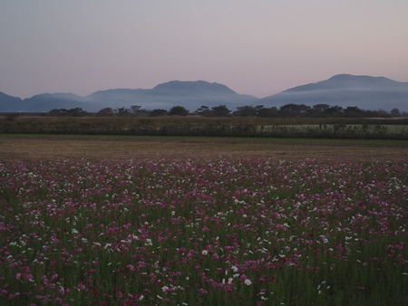 2022.10.15 ëÝÁá»Ô¹âÍè¡¡´³Î¦ÃÏ¥Õ¥é¥ï¡¼¥¾¡¼¥óPA151392