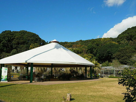 �������_1636895837