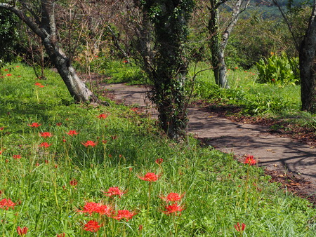 ��¼�ԡ���١�ȭ��������߲�P9241441