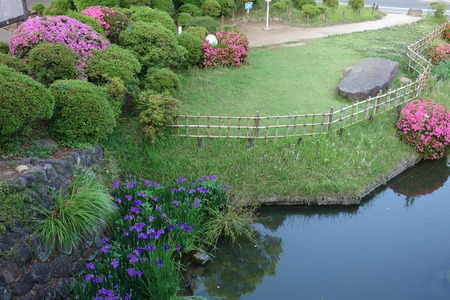 5-諫早公園DSC07341