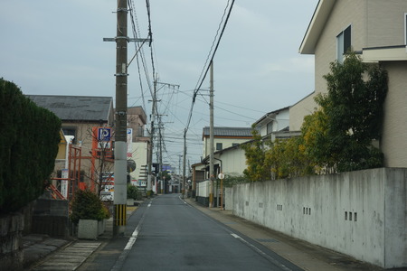 8−島原 柴犬DSC09231