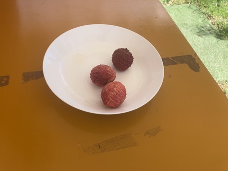 ���츩��Į���ߥ��ե����भ��� �饤��Ŧ�߼���IMG_8357