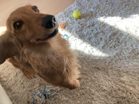 2023.01.01 まろんIMG_0778