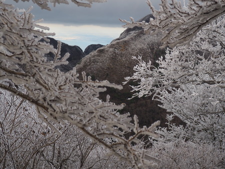 2022.12.03 ±ÀÀç¿ÎÅÄÆ½¡¢Ì¯¸«³Ù¡¡Ì¸É¹P1011763