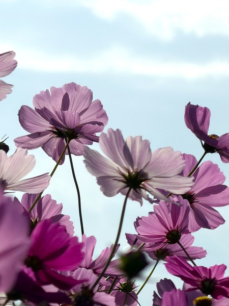 ����Į�ķ�Υ����⥹ȪIMG_1374