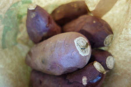 6-����ֹ⸶DSC07636