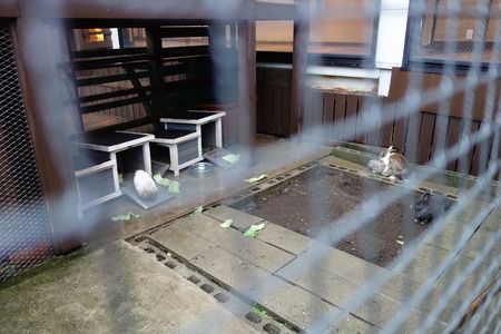 16-13-9-�ۥƥ�����ϰDSC09261