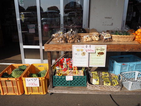 諫早市小長井町 山茶花高原P1161640