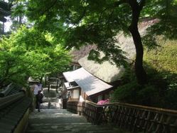 dai-20DSCF6592