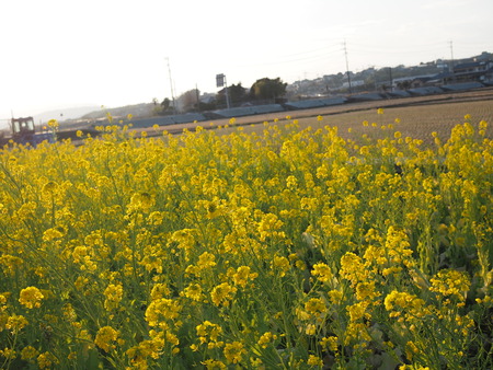 ��ڤβ�PC201356