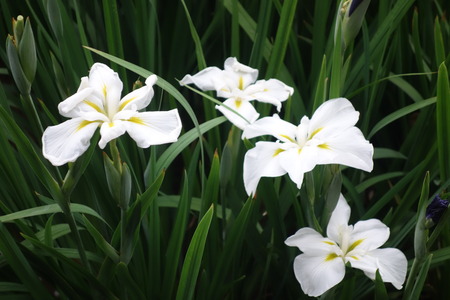 ��������¼����DSC08282