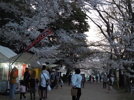 2024.04.01★ 大村公園P4010379