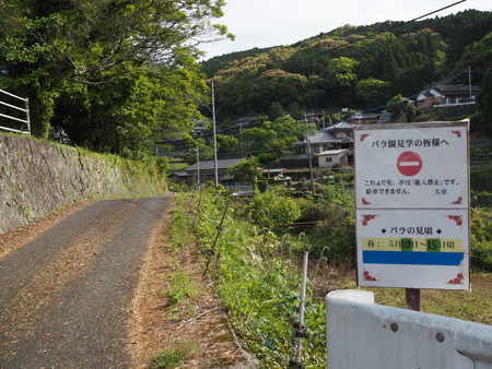�缼����ΥХ�ࡡ��ֶػ�P1011910