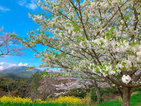 2022.03.29 ����ԡ��������⸶IMG_3164