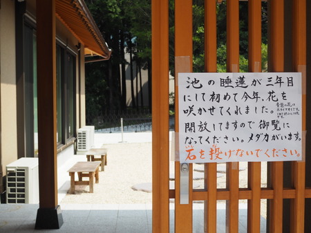 2024.08.14 橘神社P8150053