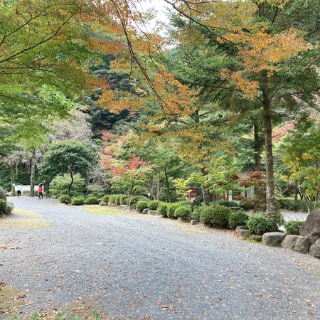 2021.11.12 大村市 黒木民宿キャンプ場IMG_6901