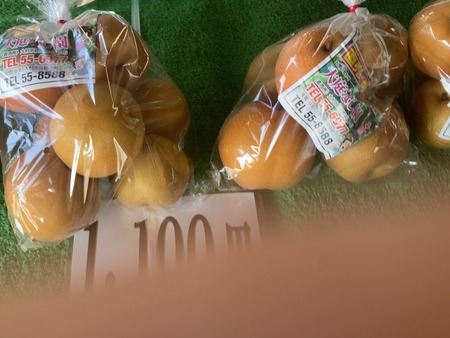 �����ʤ���IMG_4967