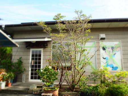 3-���������Į���١����꡼�£ϣ�P9191723