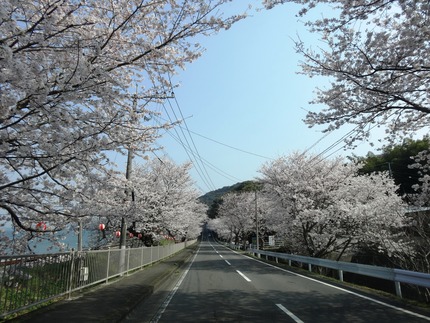7-DSC08593