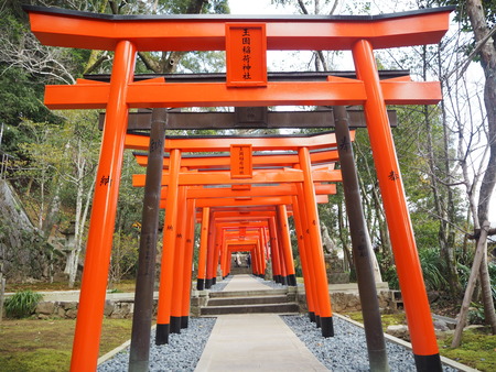 24-Ĺºê»Ô¡¡¿Ûˬ¿À¼Ò¡¡¶Ì±à°ð²Ù¿À¼ÒP1030257