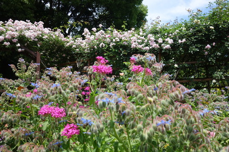 ��������Х��DSC00254