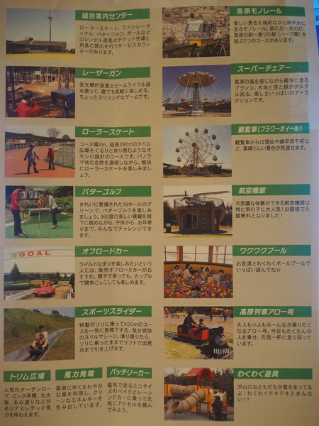 山茶花高原ピクニックパークP4303798