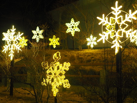 ±ÀÀçÅô¤ê¤Î²Ö¤Ü¤¦¤íP2211454