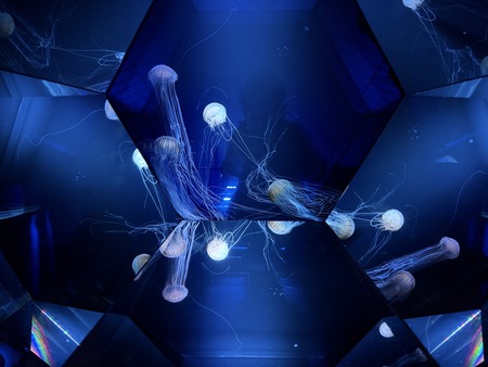 1-2���������IMG_2164