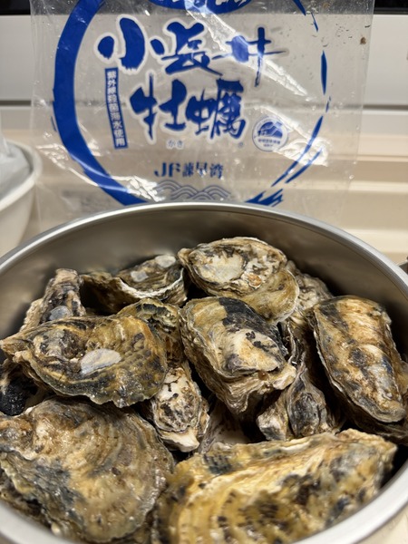 ����Ծ�Ĺ��Į�������ѵ���ľ��ŹIMG_8721