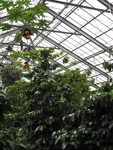 2024.07.02 大村市 長崎スコーコーヒーパークP1010669