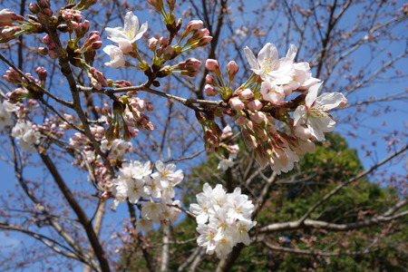 9-������DSC05234