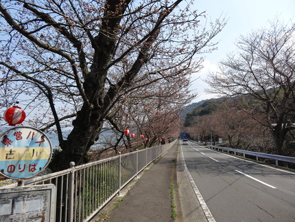6-DSC08413