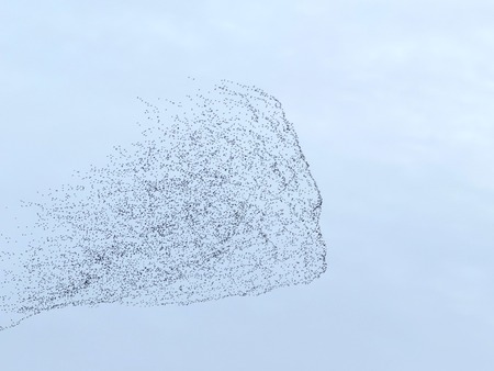 Ļ���緲A������IMG_3805