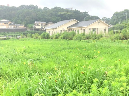 2025.08.10��ͭ��դ줢��������ΤҤޤ��IMG_1007