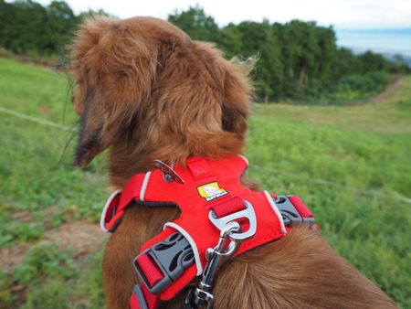 2021.09.25¡¡¤Þ¤í¤óP9161142